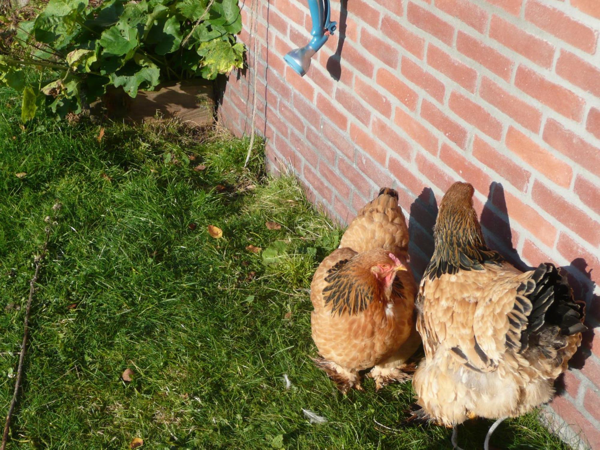 Bed and Breakfast Slaopen En Stoet Anderen Экстерьер фото